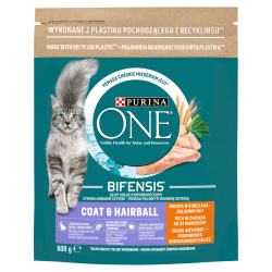 Purina ONE Coat & Hairball Bogata w Kurczaka i Pełne Ziarna 800g